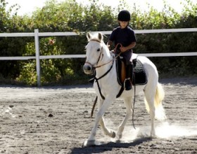 Casablanca: Stage équestre pour enfants au Royal Club Equestre d’Anfa à -50%