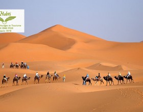 Sejour aux portes du Merveilleux Sahara Marocain à partir de 800dhs chez Habti Voyages!