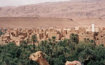 Zagora : 2 jours et 1 nuit en Demi-pension -650dh-