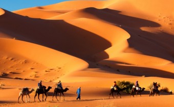 DESERT REVEILLON EVENT