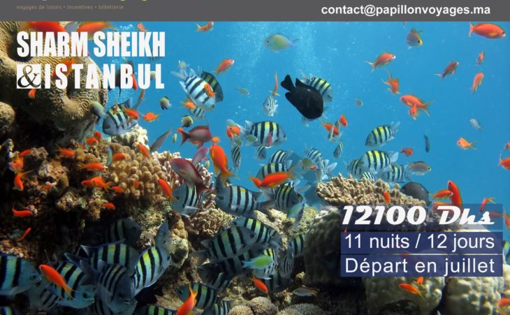 SHARM SHEIKH & ISTANBUL A 12100 DHS SEULEMENT !!!