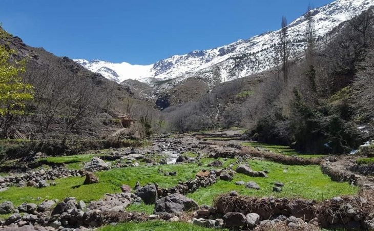 Trekking Toubkal